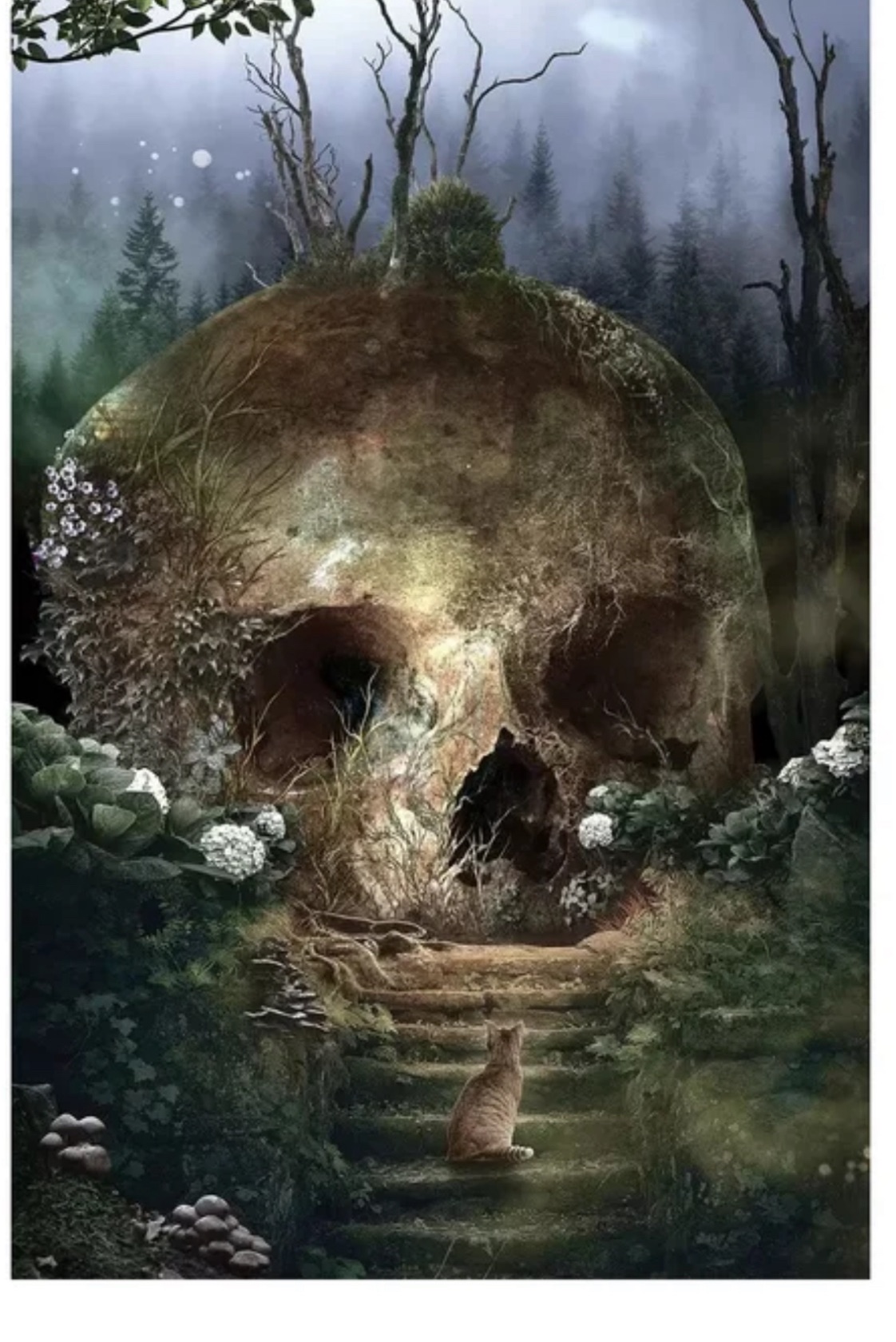 Wavering Soul