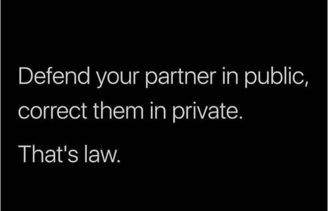 Following Feline Magic into the Unexpected